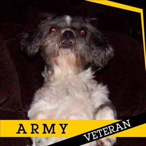 Meet your Posher, Steven